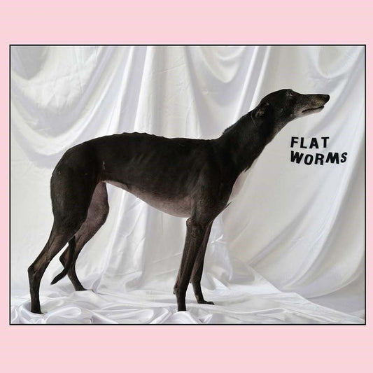 Flat Worms - Flat Worms (LP)